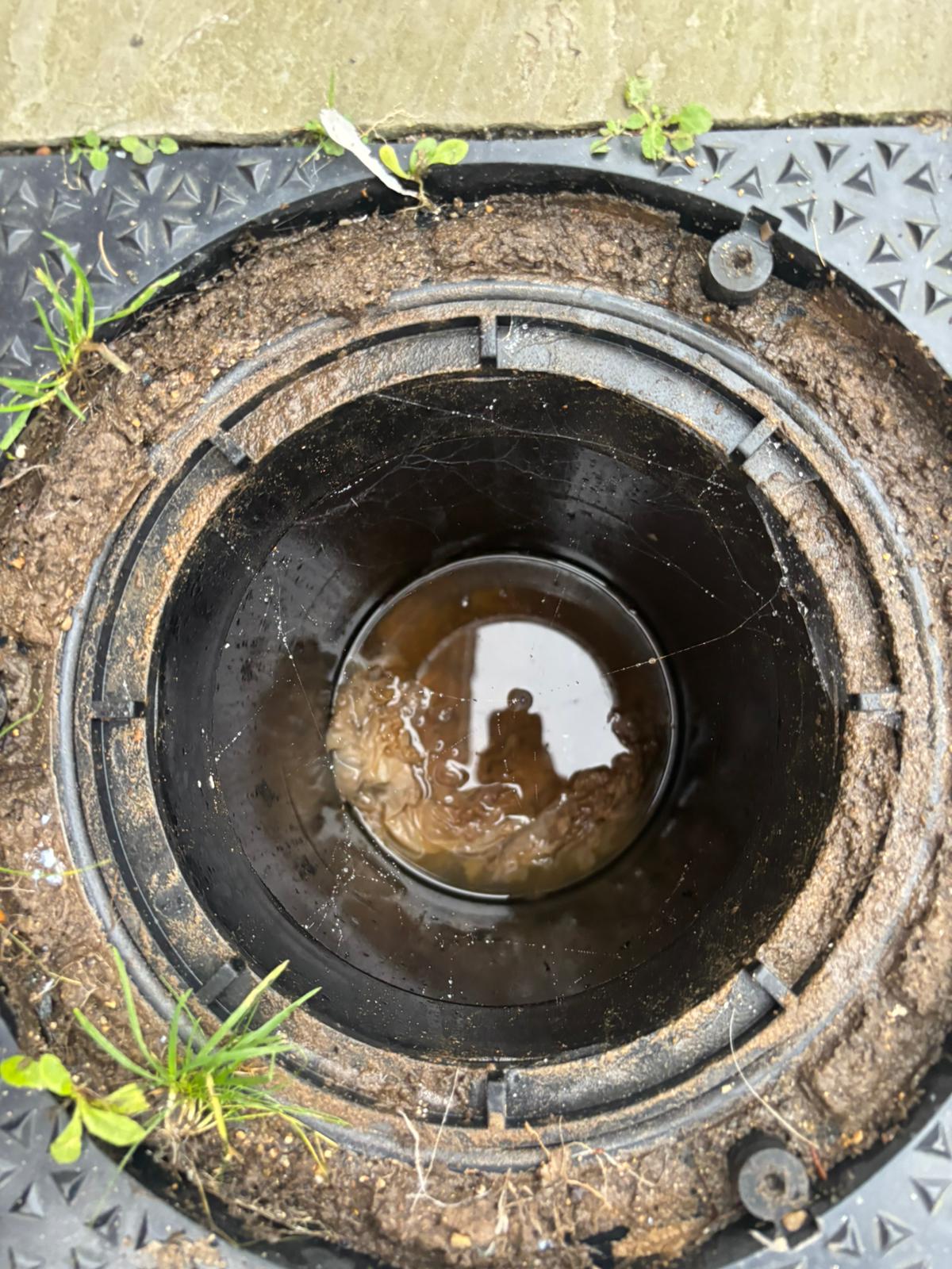 WhatsApp Image 2025 02 03 at 21.20.47 (1)